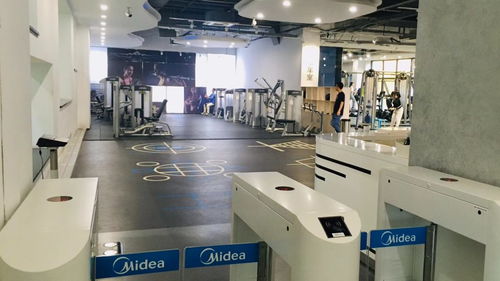 從熱愛到圓夢 我的服務設計之旅與米蘭理工大學PSSD申請記